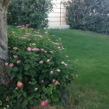 Villino La Lantana Con Wi-fi Nyaraló *